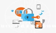 深入解析区块链ESD币：技