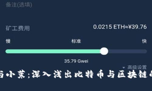 老高与小茉：深入浅出比特币与区块链的世界