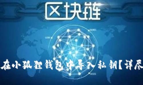 如何在小狐狸钱包中导入私钥？详尽指南