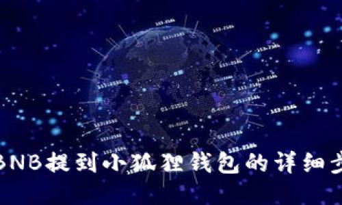 如何将BNB提到小狐狸钱包的详细步骤指南